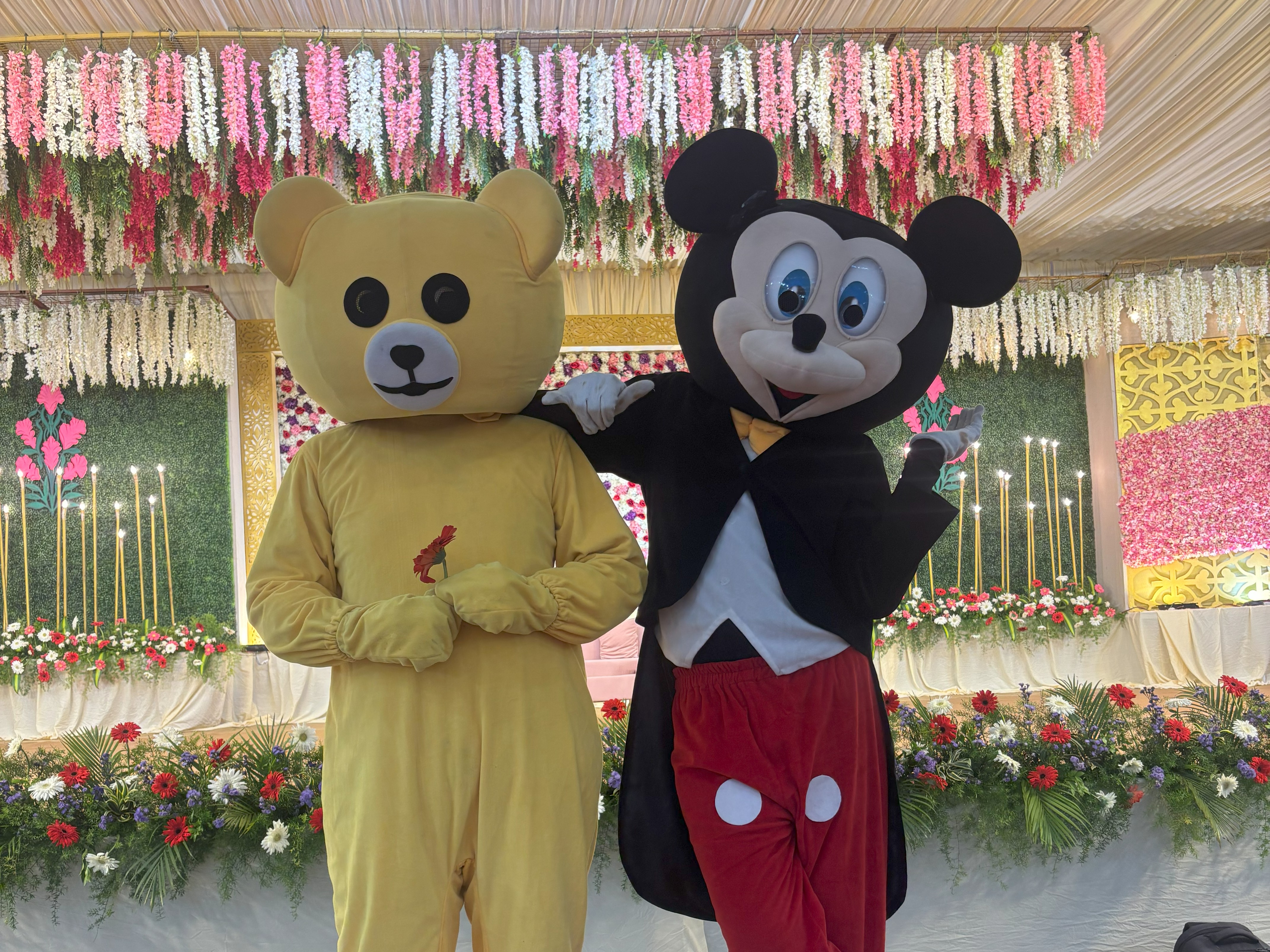 Toy Alumbunaties Character Show